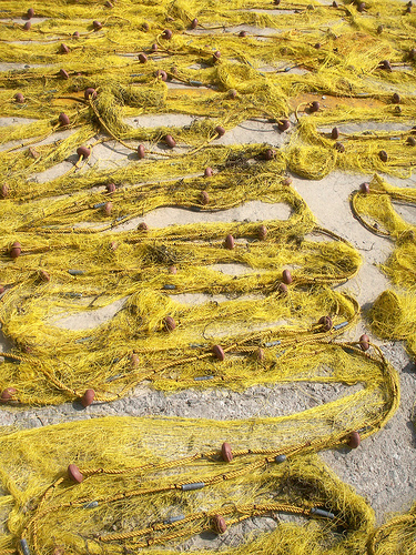 Reforming the Common Fisheries Policy (CFP)