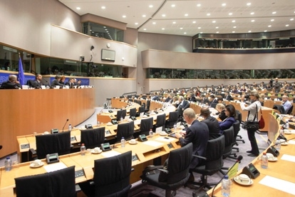 Parliament’s role in anti-crisis decision-making