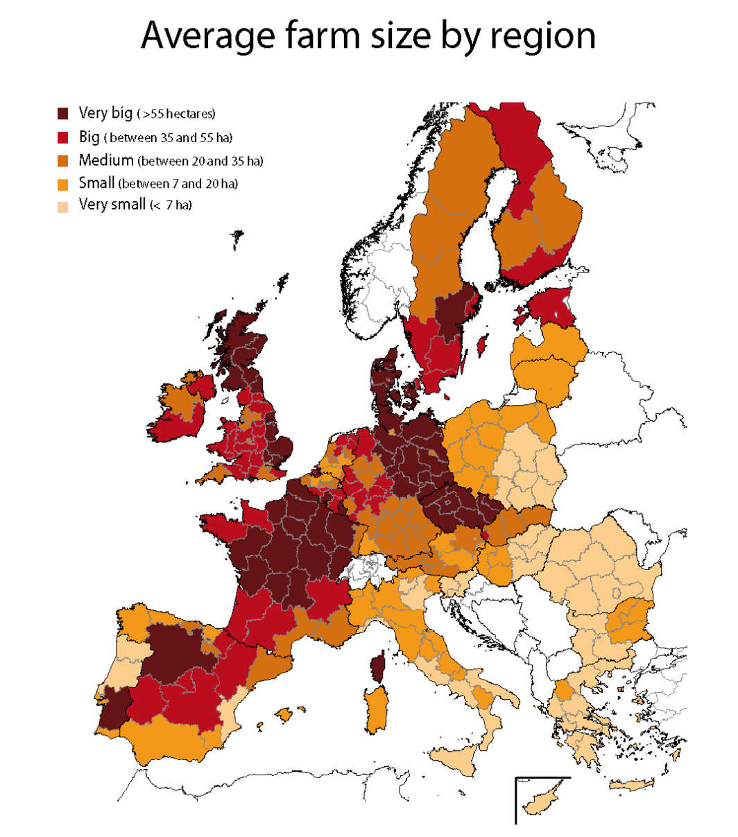 Young Farmers in the European Union