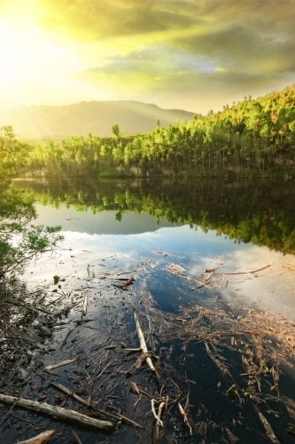 Brazil’s Belo Monte Dam project: Financial impact, indigenous peoples’ rights & the environment