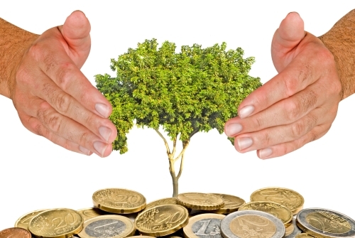 Report on protection of EU’s financial interests
