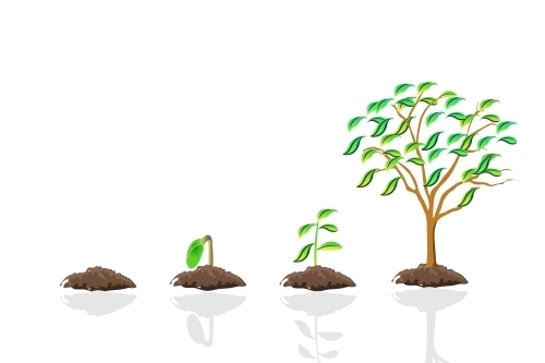 L’Union européenne et l’agriculture durable