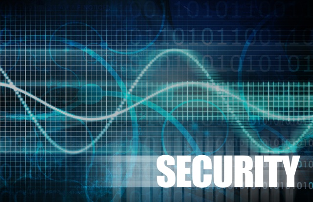 Implementing the EU internal security strategy