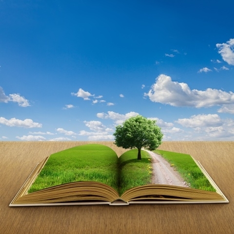 The EU and forests: issues and instruments