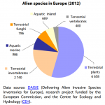 Alien species in Europe (2012)
