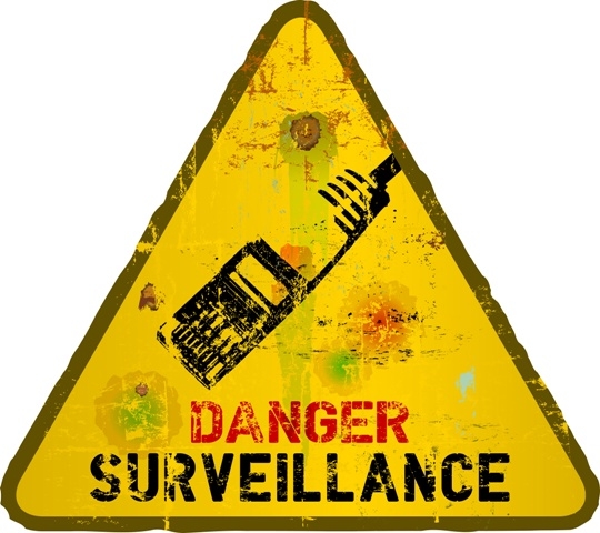 Does online surveillance violate fundamental rights of EU citizens?