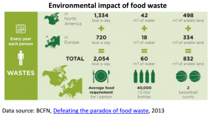 Environmental impact of food waste