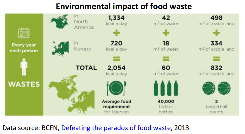 Tackling food waste: The EU’s contribution to a global issue