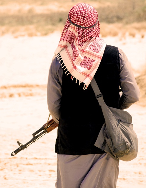 EU response to Iraq’s degenerating situation