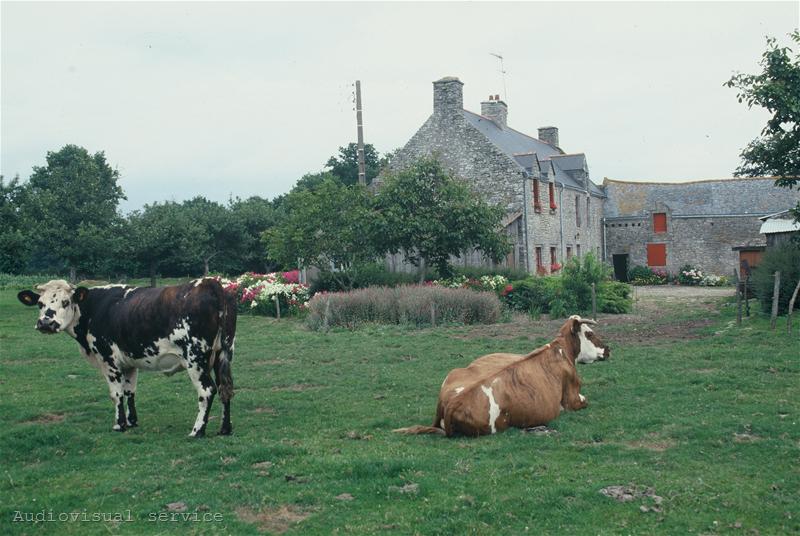 Future of small farms