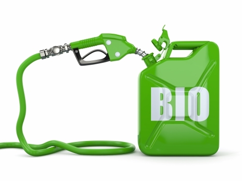 Indirect land use change (ILUC) and biofuels in the EU