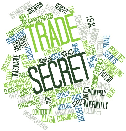 Trade Secrets and Confidential Business Information