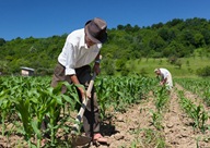 2014 International Year of Family Farming