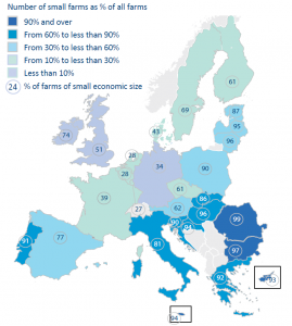 Small area and economically small farms by Member State