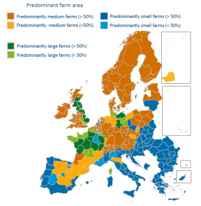 The distribution of agricultural farms according to surface classification