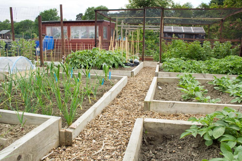 Urban and Peri-urban Agriculture