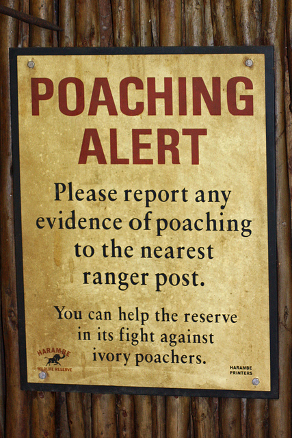 Wildlife trafficking in Africa: Endangered security