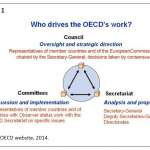 Who drives the OECD's work?
