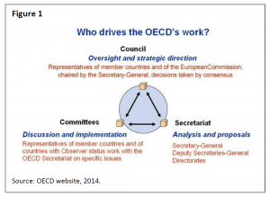 Who drives the OECD's work?