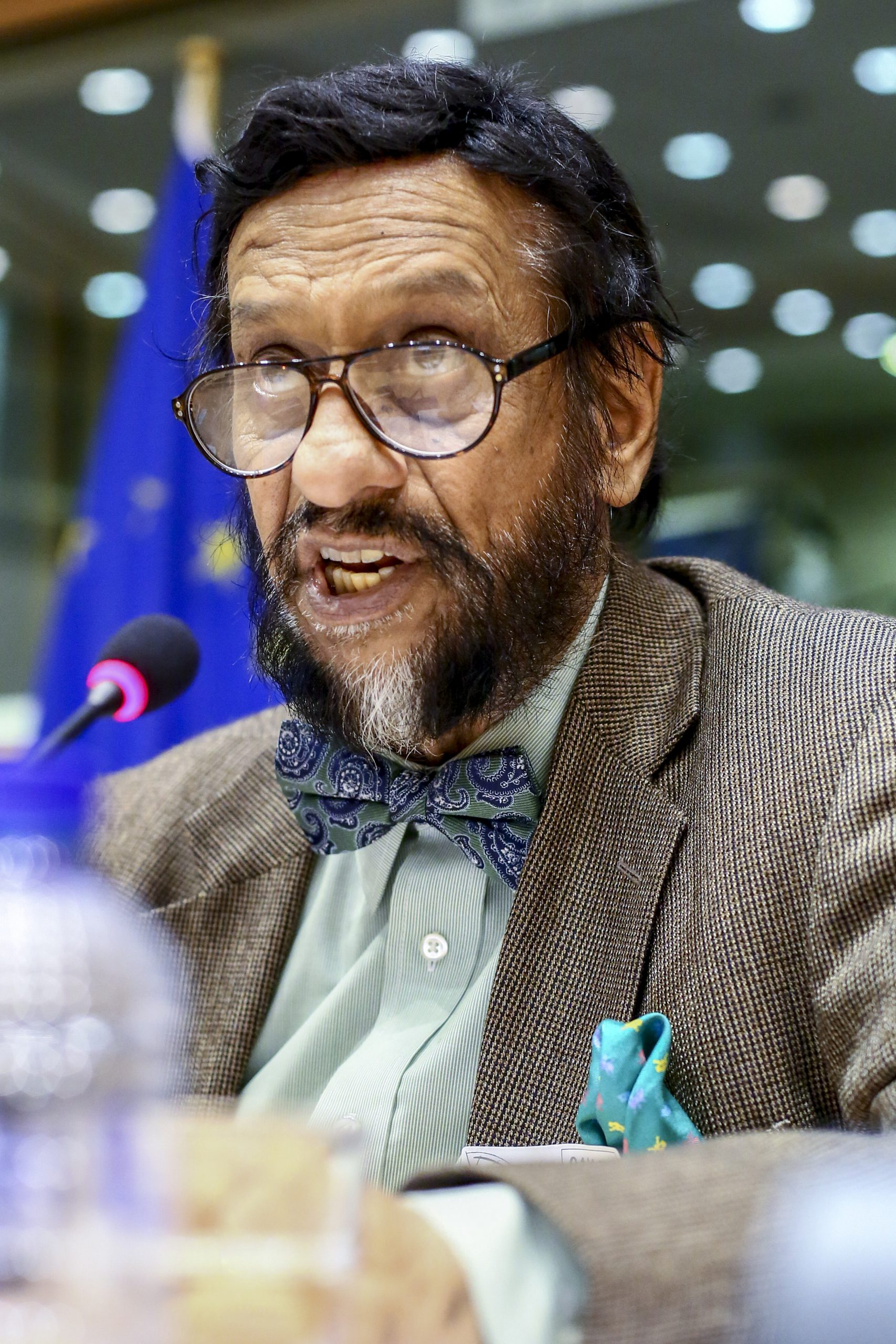 Dr Rajendra Pachauri (IPCC) in the European Parliament