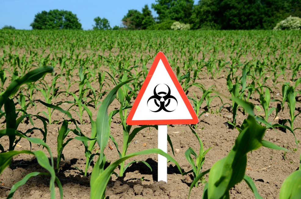 Towards new rules on GMO crops within the EU