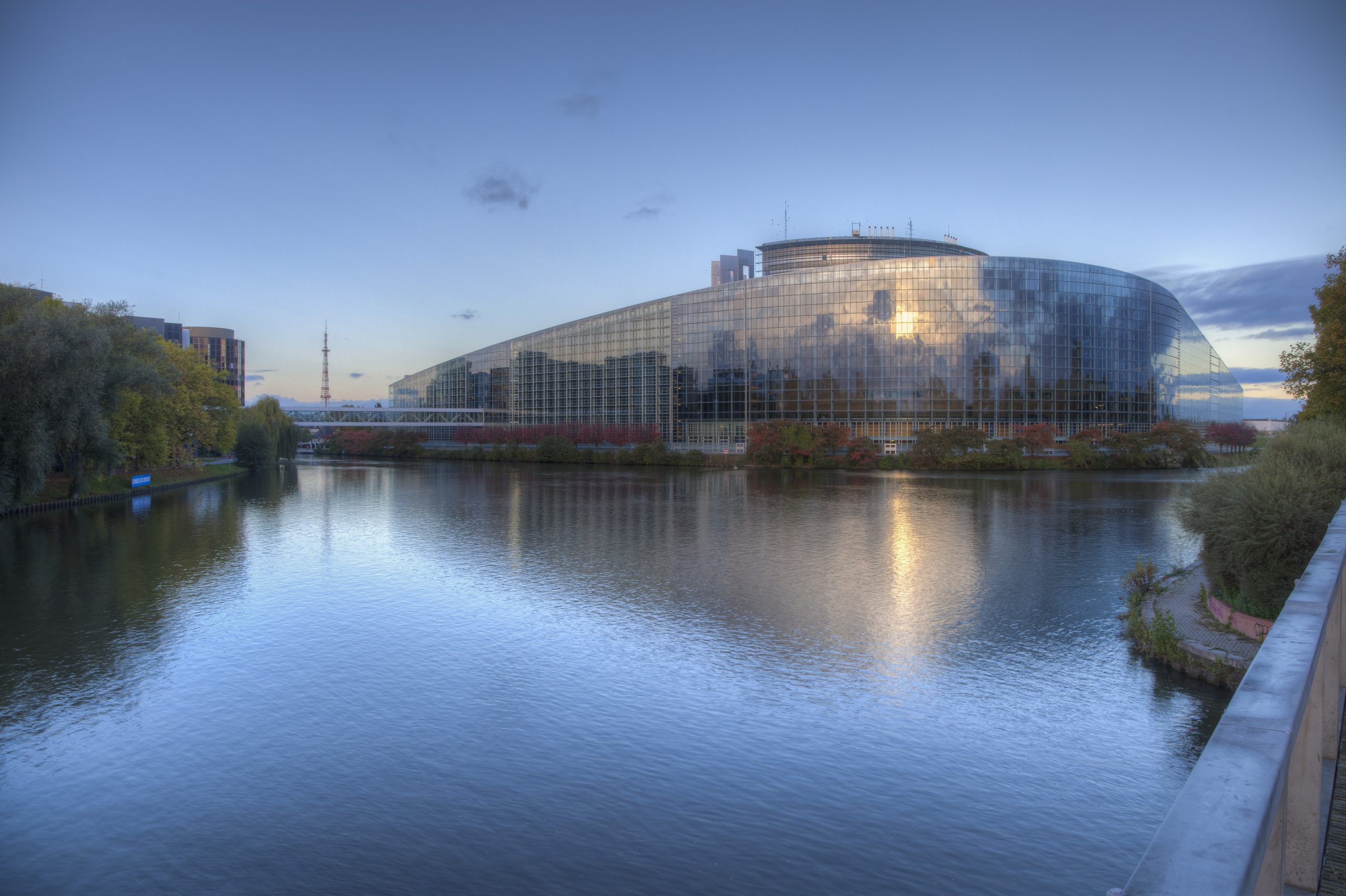 A year of change: the European Parliament in 2014