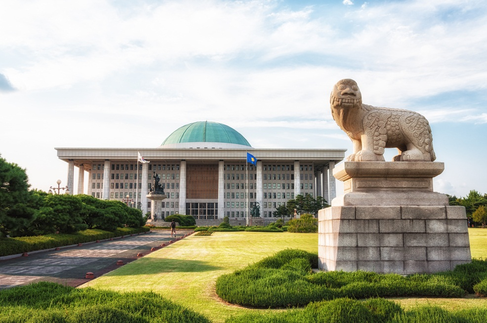 South Korea – domestic situation and beyond