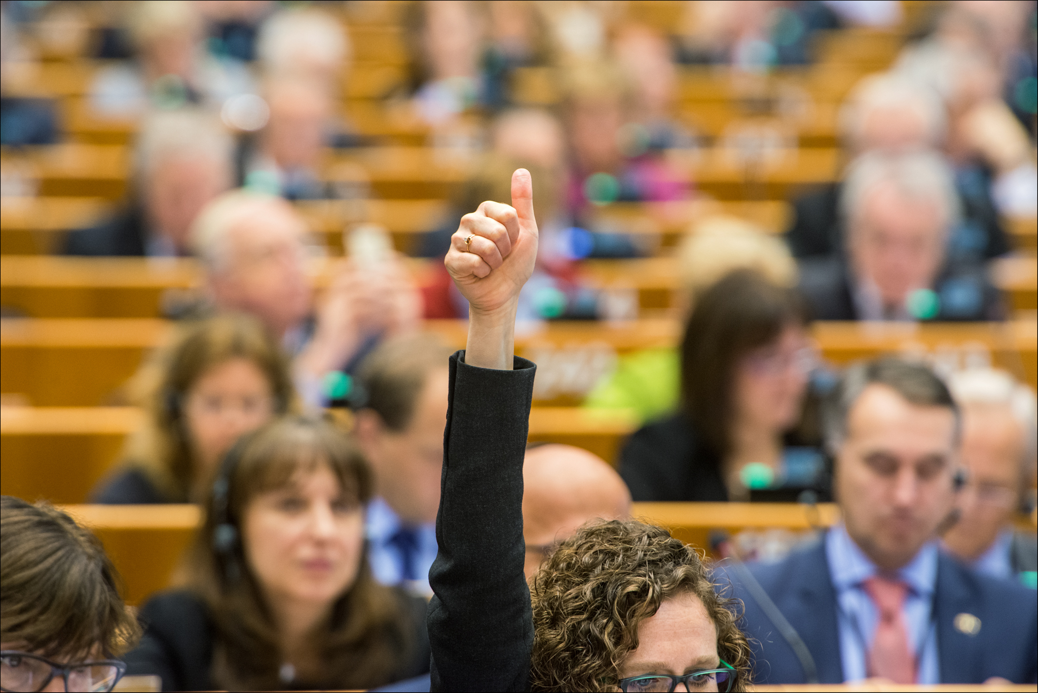 European Parliament plenary session, 28 January 2015