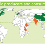 Organic producers and consumers