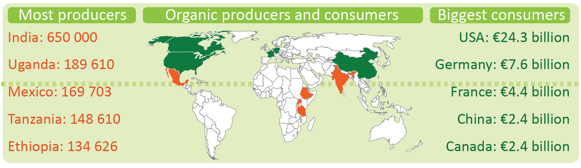 Organic producers and consumers