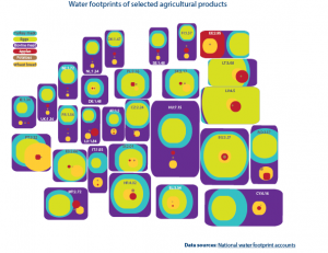 Water footprints of selected agricultural products