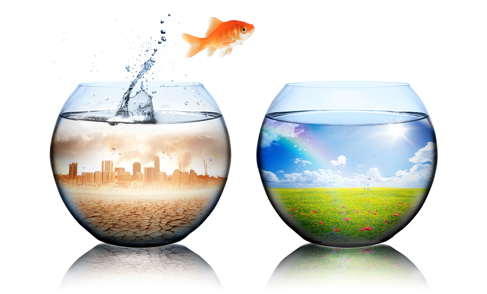 Developments in international climate policy