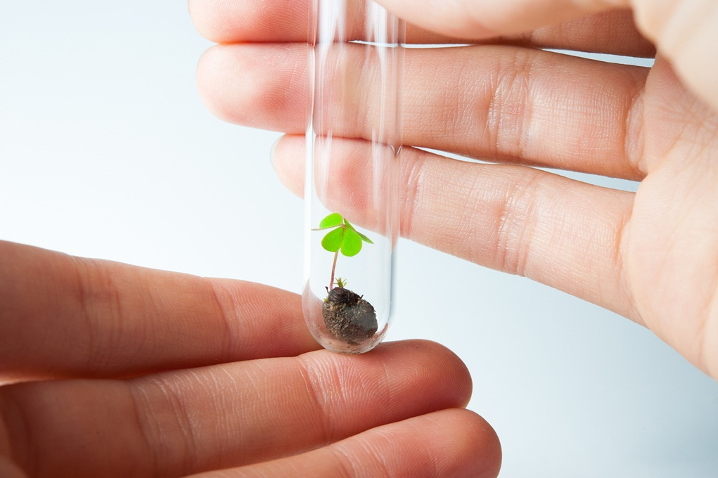 Updating rules on novel foods to keep up with scientific advances