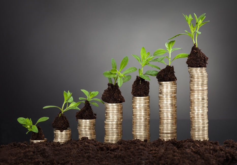 Environmental taxation in the EU