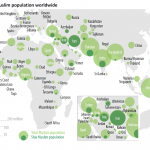 Muslim population worldwide