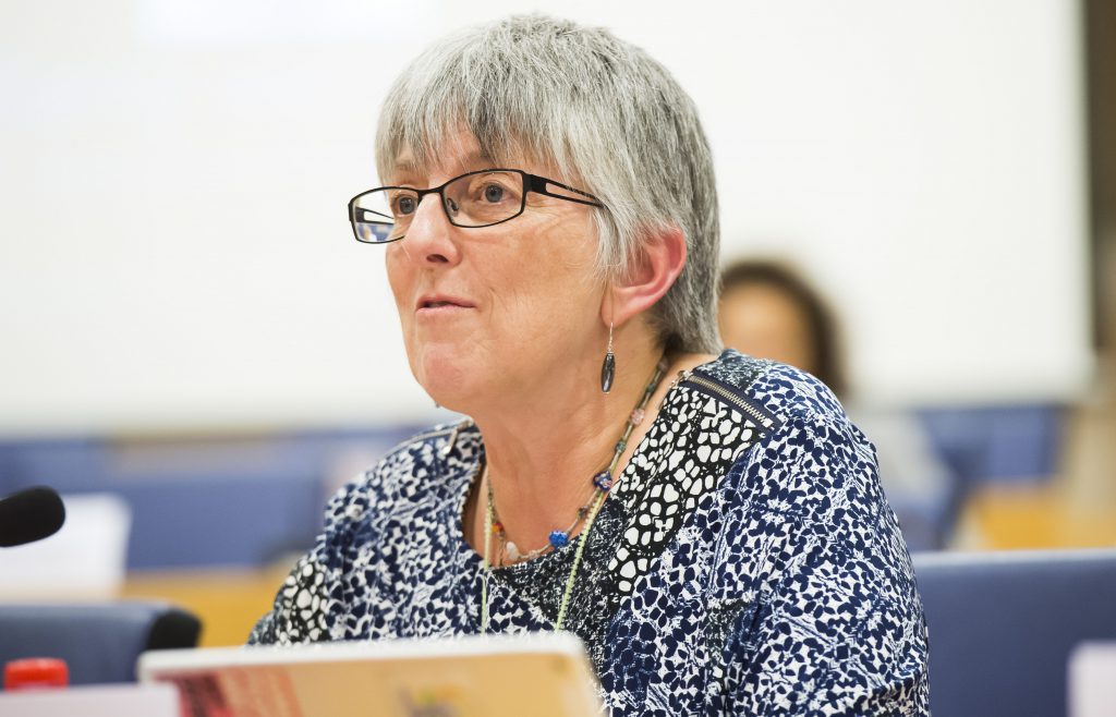 Julie WARD Rapporteur for the European Parliament initiative report