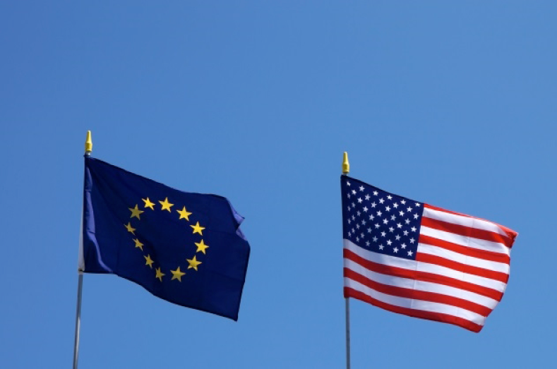 Climate policies in the EU and USA: Different approaches, convergent outcomes?
