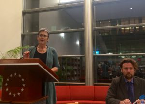 Ulrike Lunacek, Vice-President
