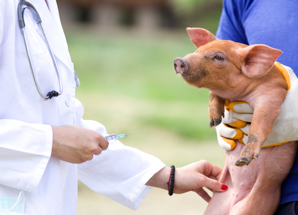 Animal health law: Rules on transmissible animal diseases [EU Legislation in Progress]