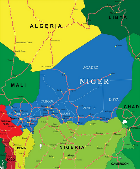 Niger: paysage politique avant les élections