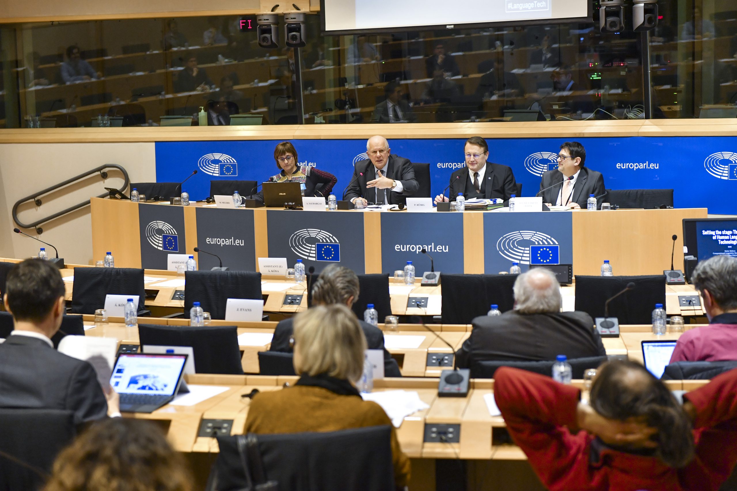Multilingualism in the digital age: The need for a ‘European language programme’