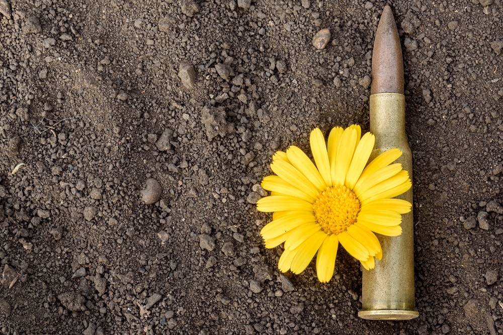 How the EU budget is spent: Instrument contributing to Stability and Peace