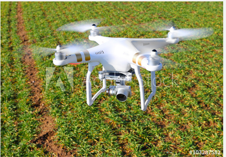What if intensification of farming could enhance biodiversity? [Science and Technology Podcast]