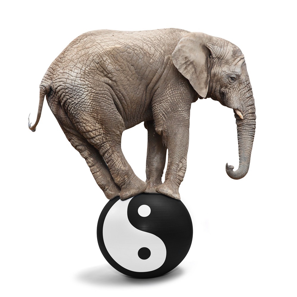Understanding the macroeconomic imbalance procedure: Origin, rationale and aims
