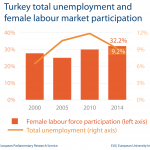 Unemployment and female labour market - Turkey