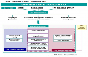 General and specific objectives of the CAP