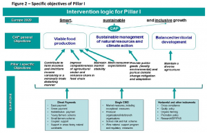 Specific objectives of Pillar I
