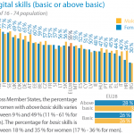 Digital skills (basic or above basic)