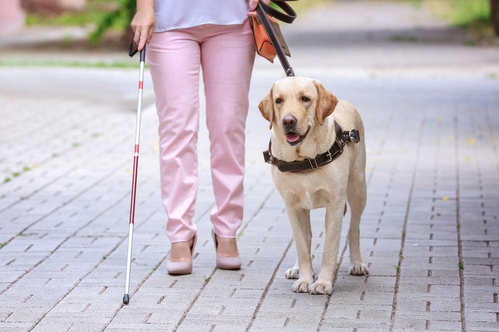 Blind and visually impaired people [What Europe does for you]