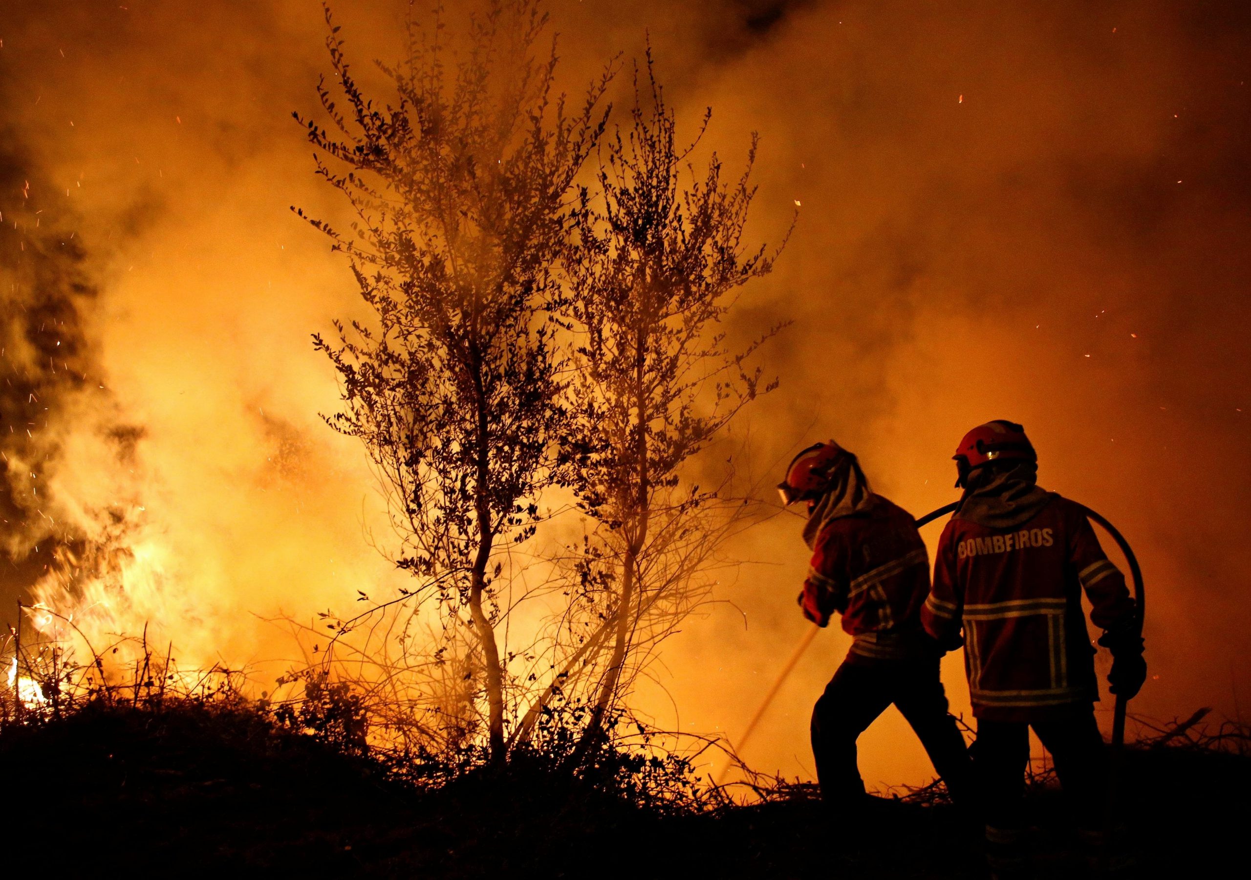 People affected by forest fires [What Europe does for you]